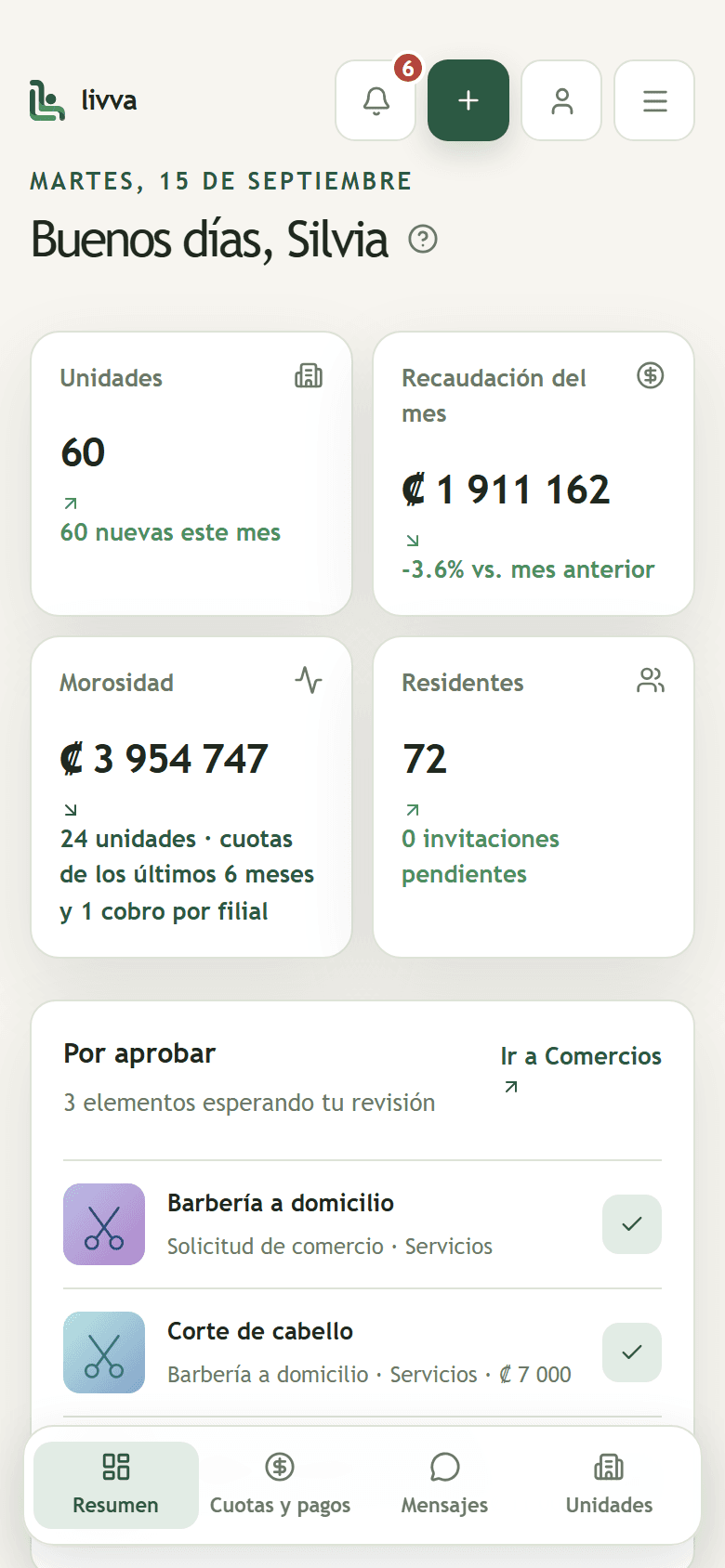 Resumen de Livva en el celular